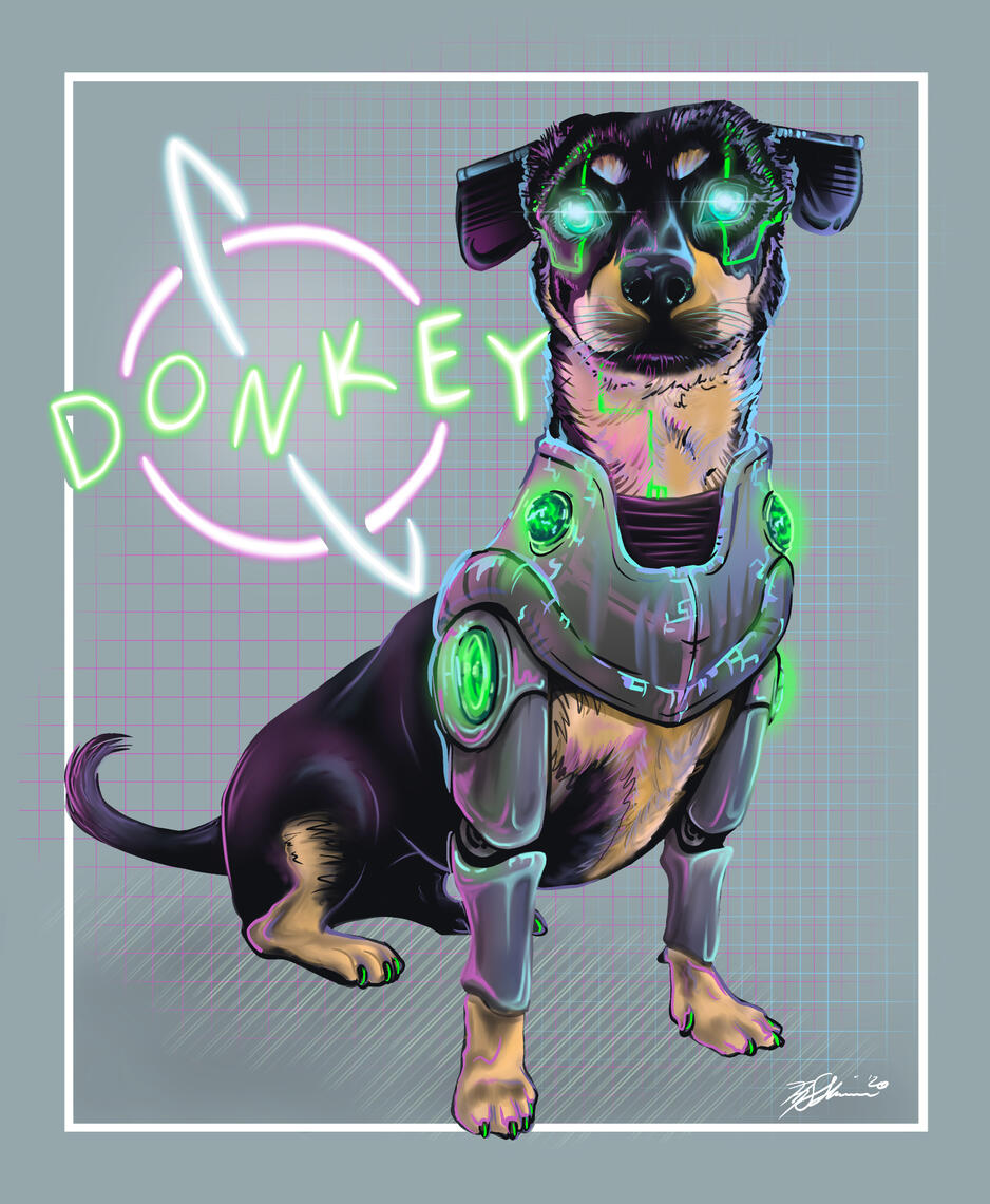 DonkeyDog